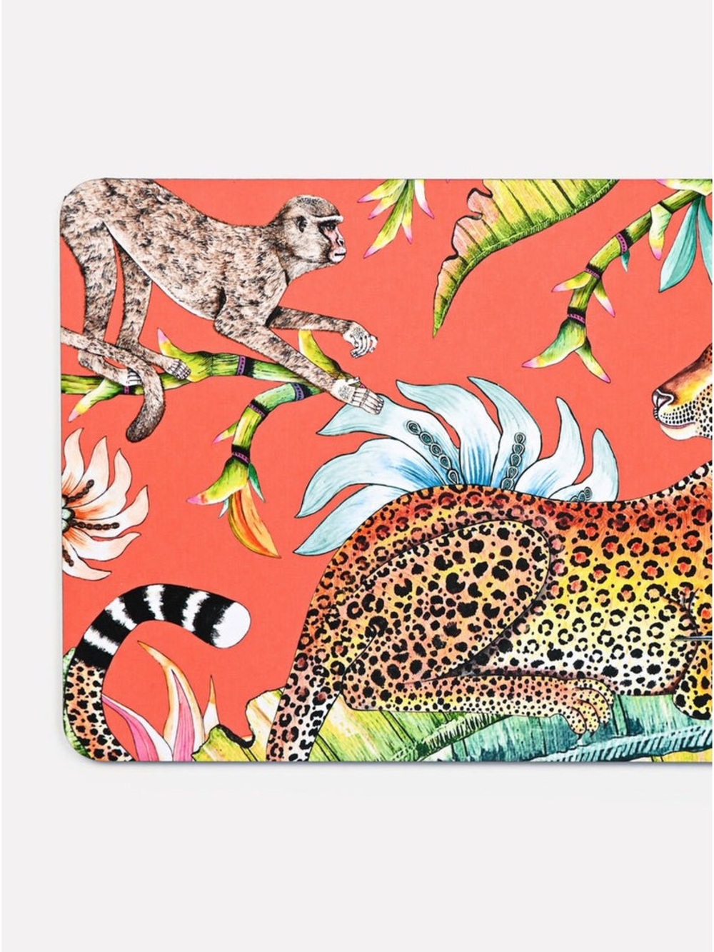10 Ardmore Design Hardboard Placemats - Picture 5 of 5
